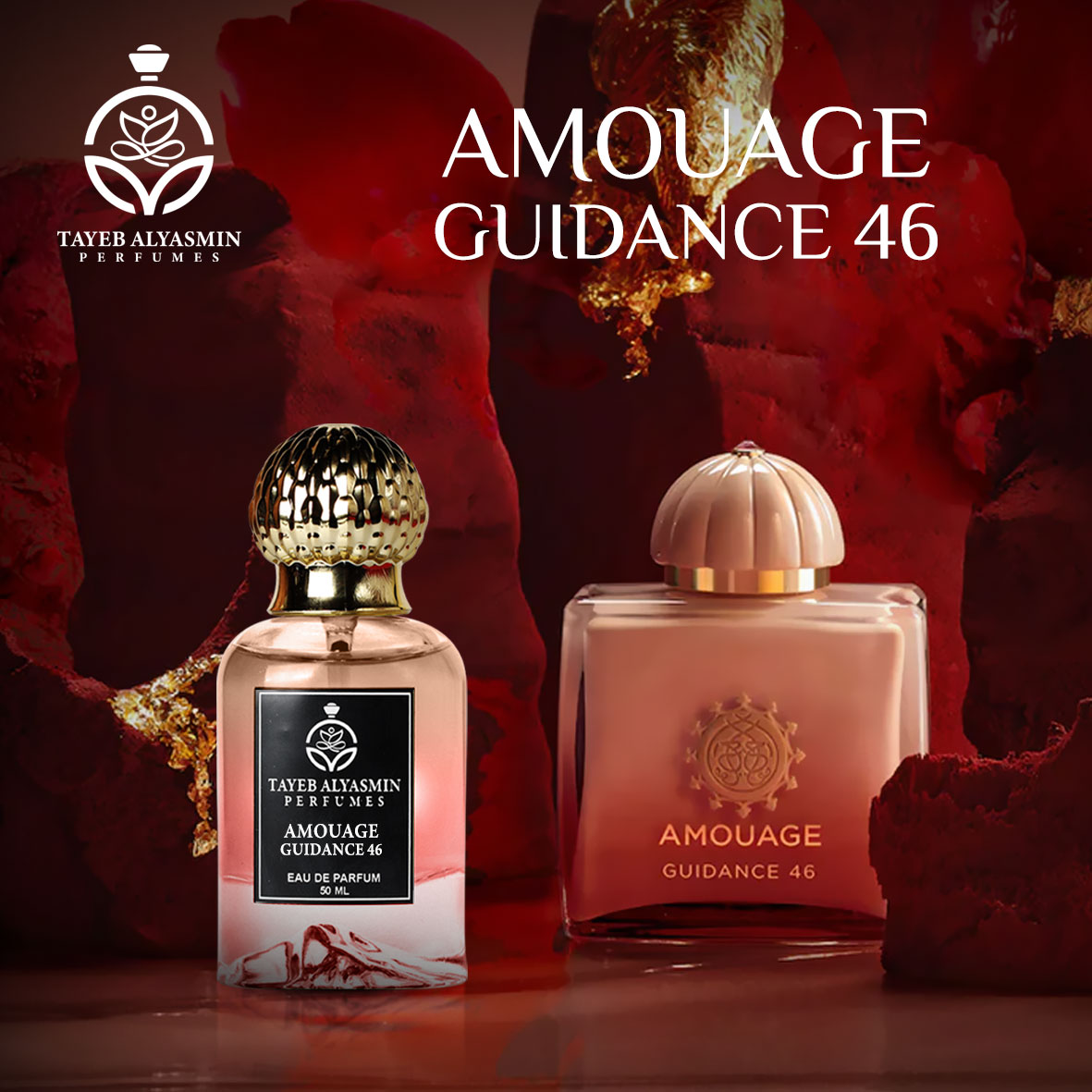 Guidance 46