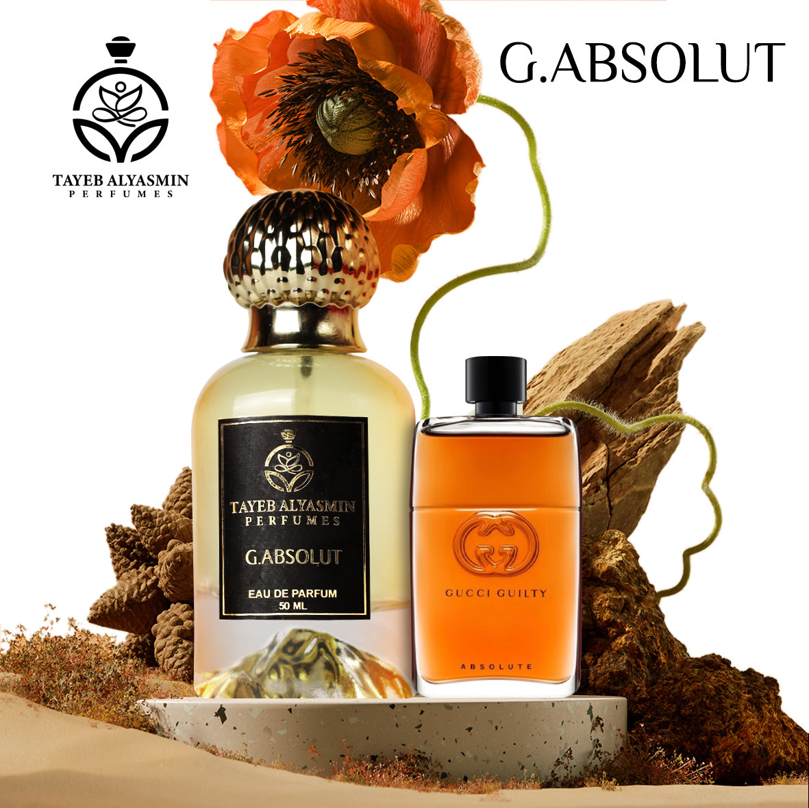 جوتشي ابسلوت