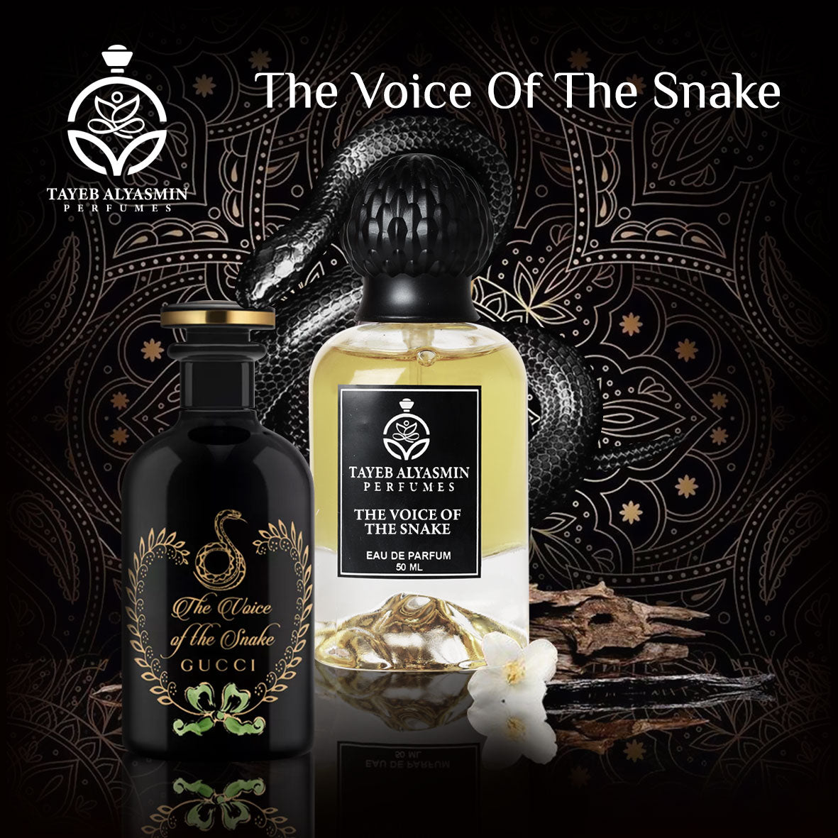 ذا فويس أوف سنيك