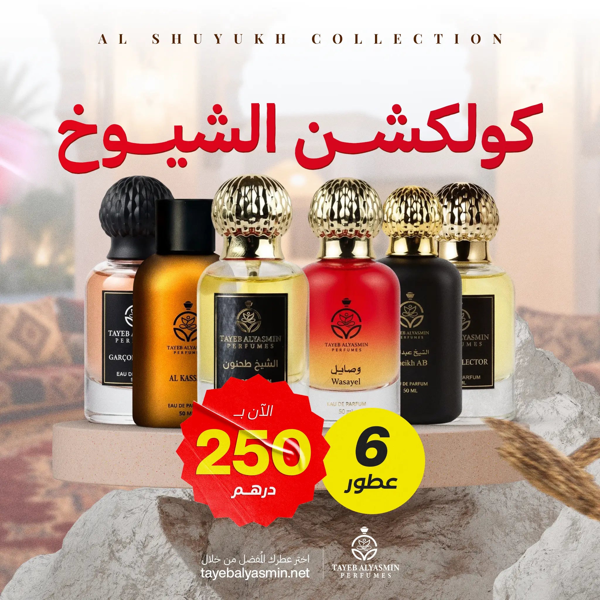 كولكشن الشيوخ