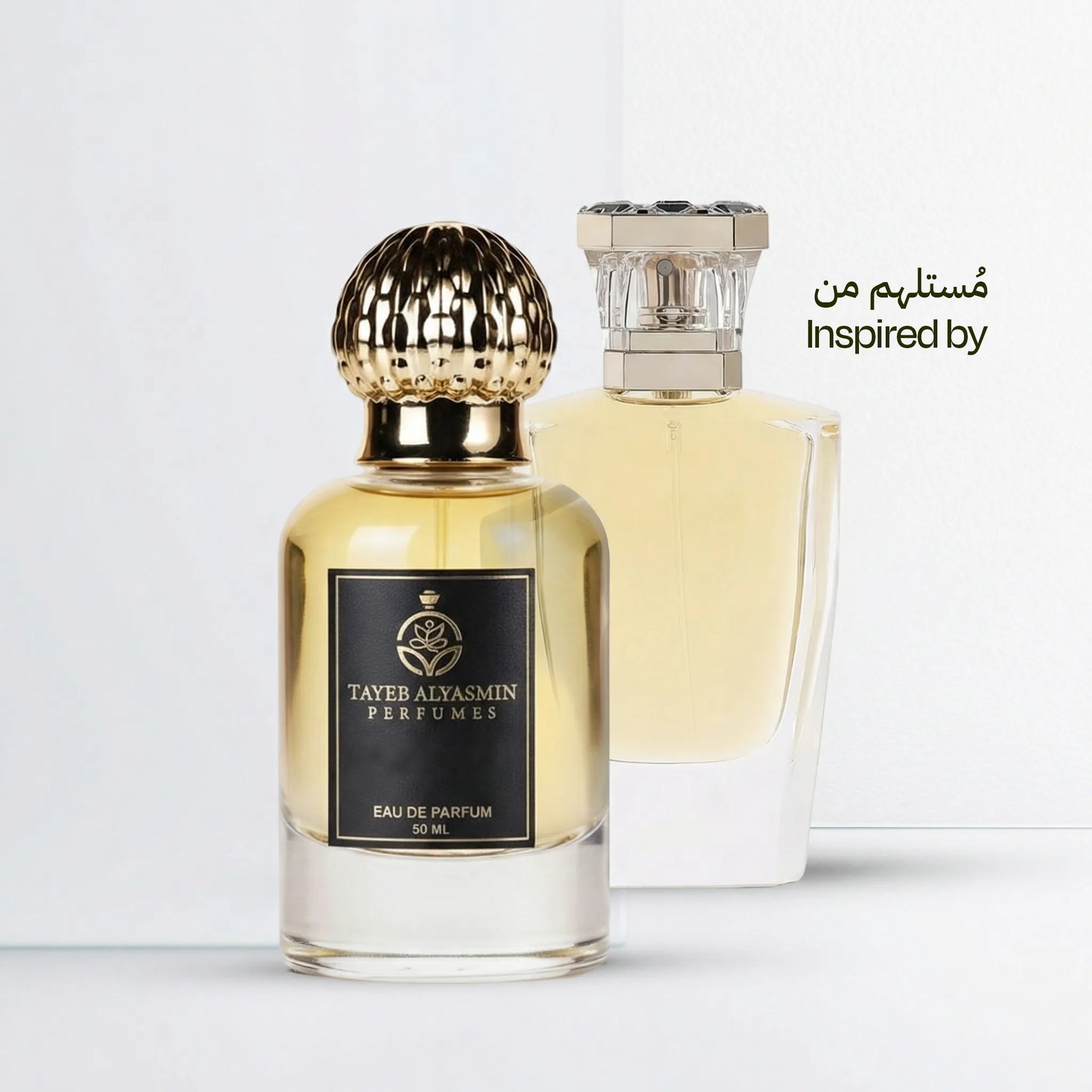 الشيخ طحنون 