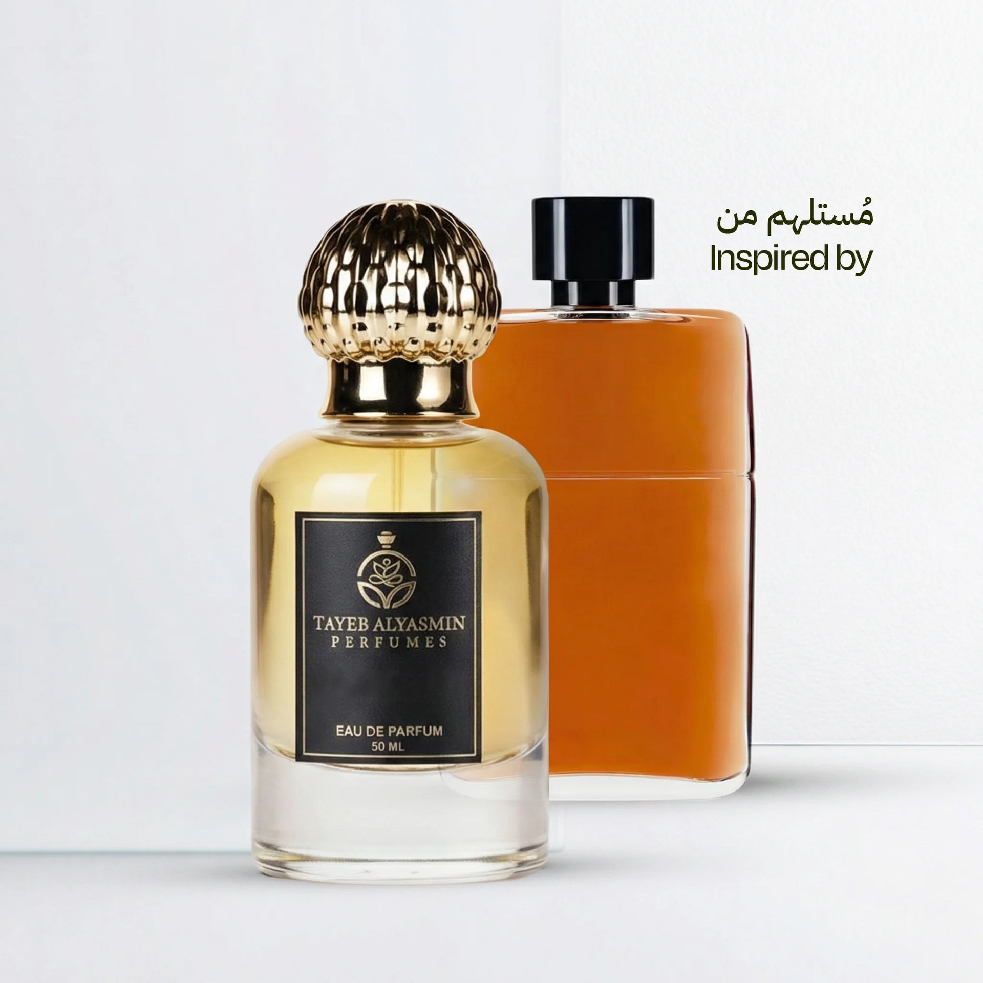 جوتشي ابسلوت
